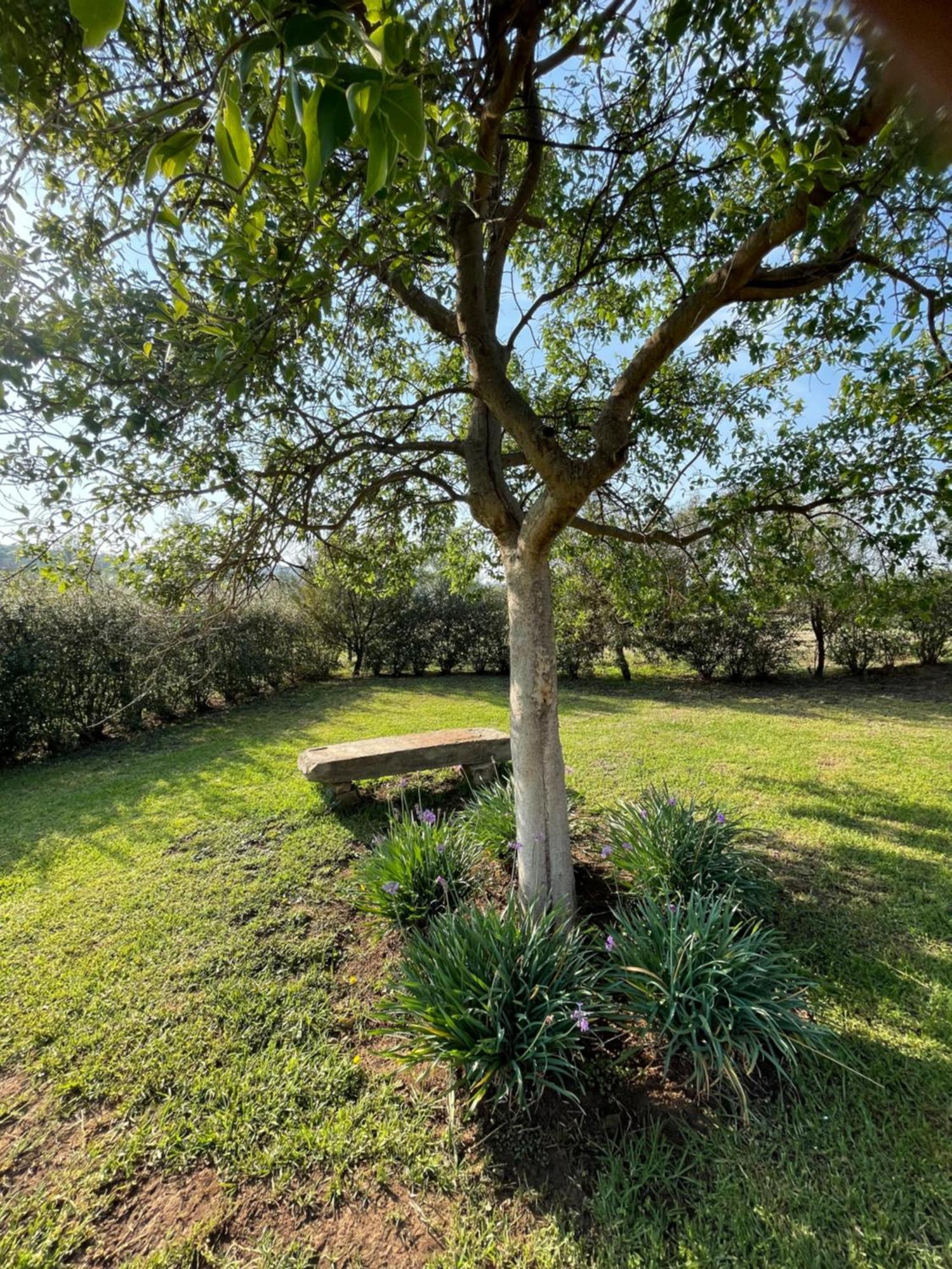Tugela River Lodge Winterton Eksteriør bilde